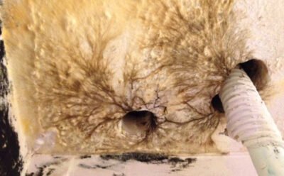 Conseils pour éviter l’infection